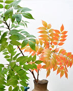 The autumn form of the artificial tree branch beside the green, showing the color difference; pot not included