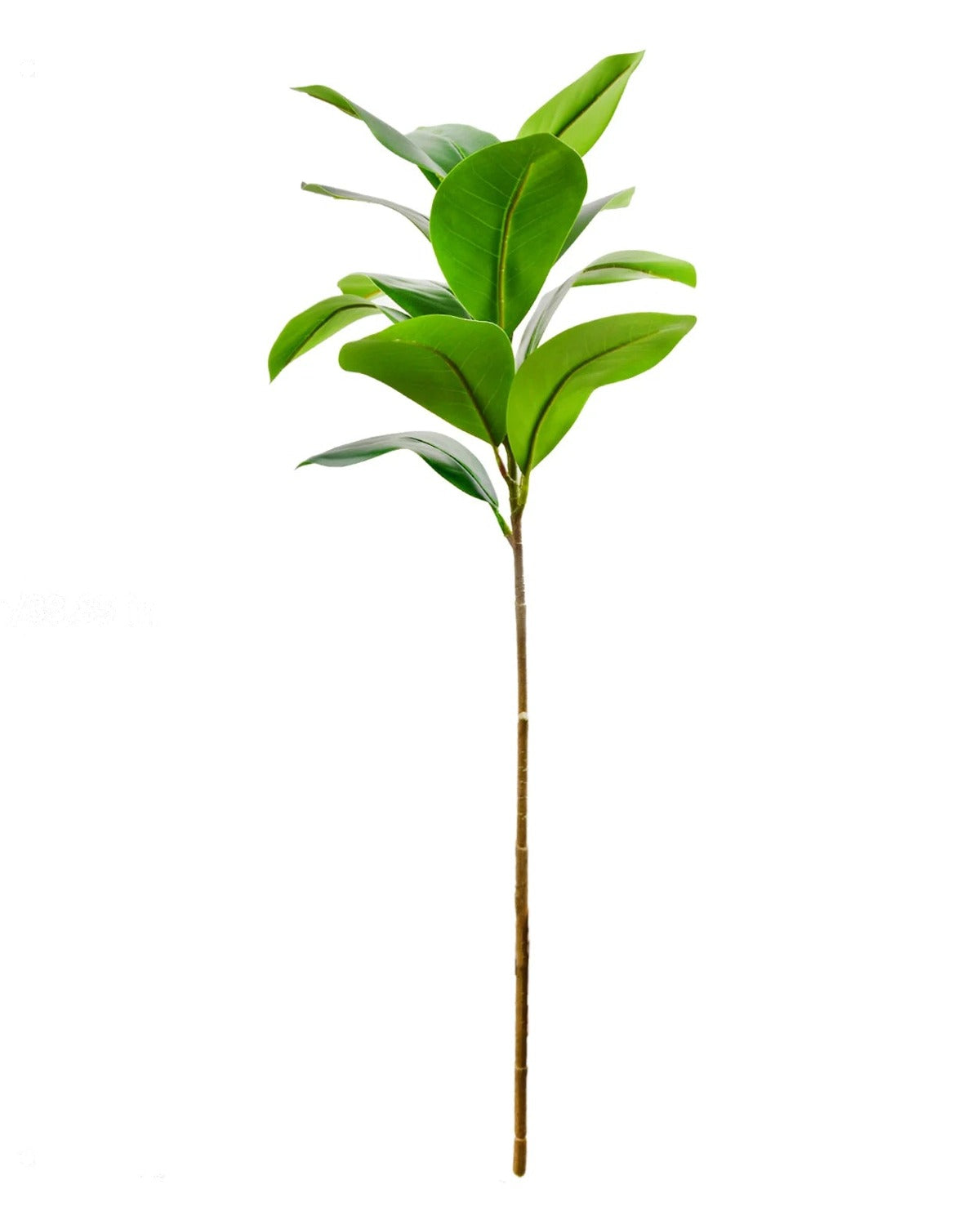 Glossy oval leaf, 1 stem, 33.9 in, artificial tree branch