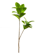 Glossy oval leaf, 2 stems, 41.3 in, artificial tree branch