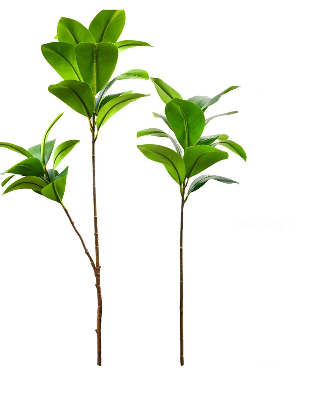 Glossy oval leaf, set of 2, 41.3 and 33.9 in, artificial tree branch