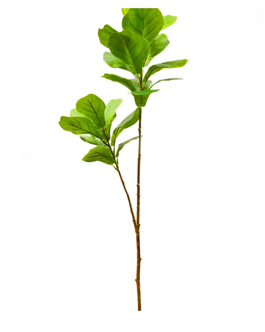 Fiddle leaf, 22 leaves, 41.3 in, artificial tree branch