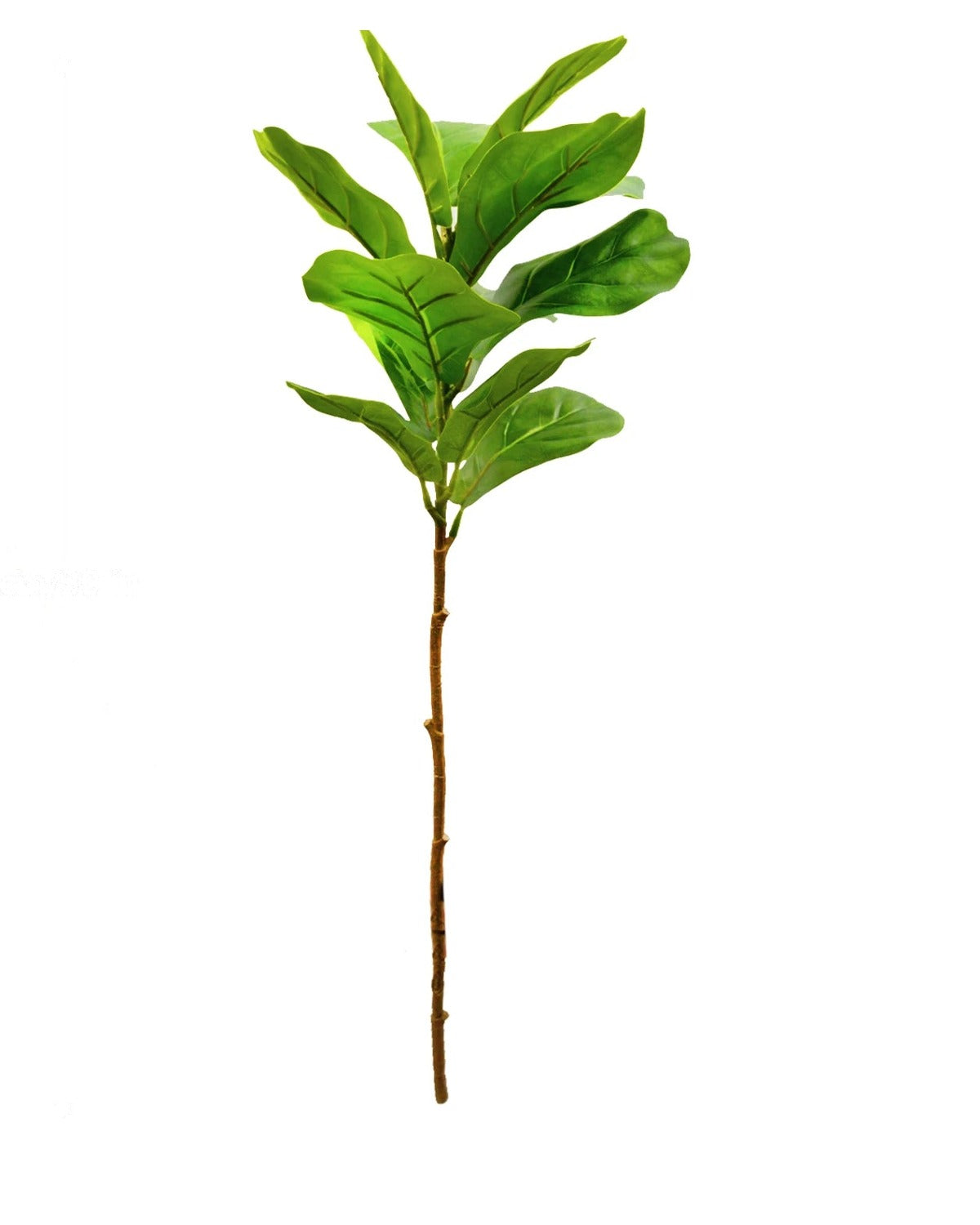 Fiddle leaf, 13 leaves, 30 in, artificial tree branch