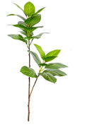 Veined oval leaf, 2 stems, 41.3 in, artificial tree branch
