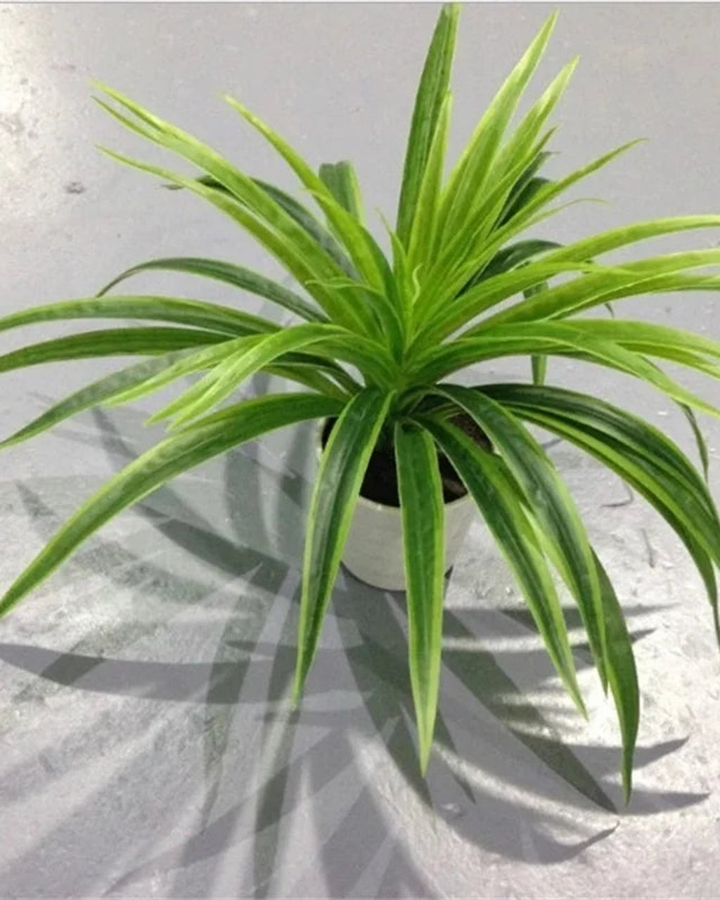 The green artificial spider plant, its leaves arching out from the crown; pot not included
