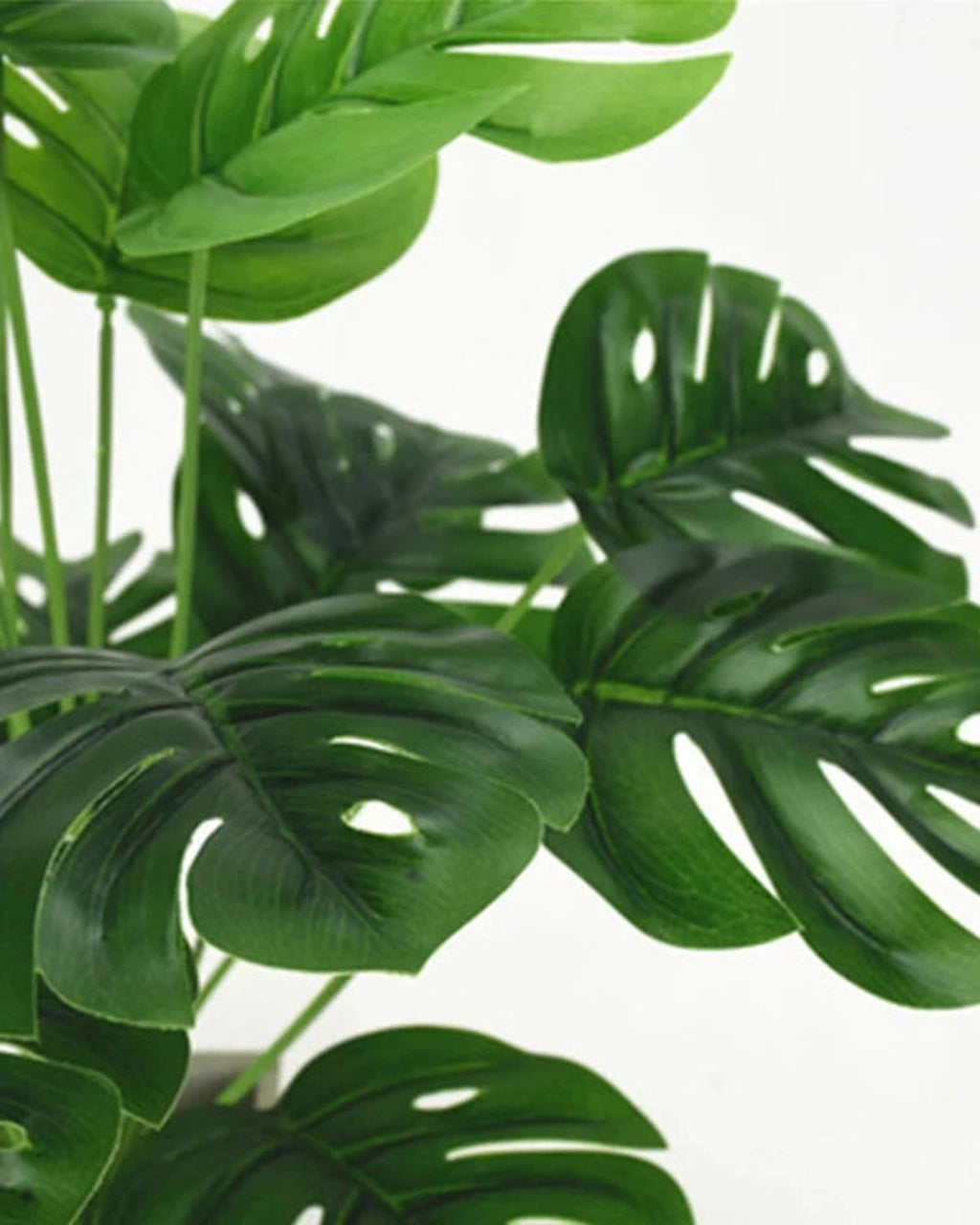 The leaves of the artificial monstera in close view, showing the raised ribs on the upper side