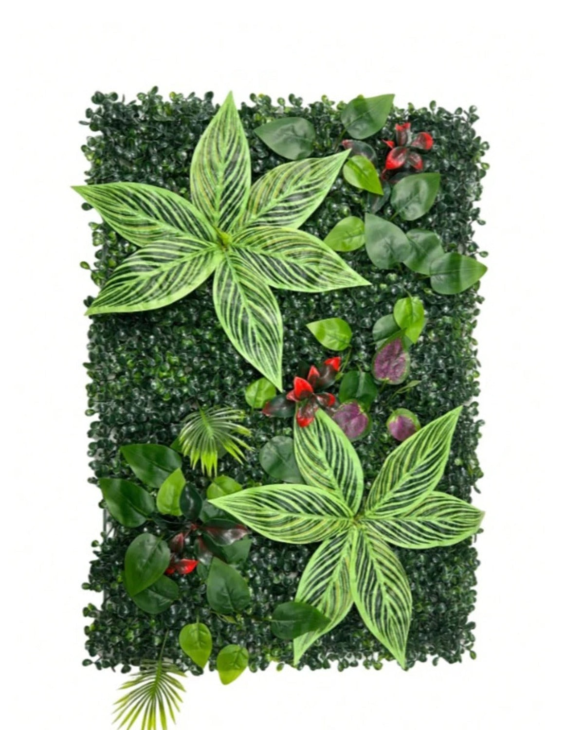 The variegated leaf and red berry style of artificial green wall panel, shown as one panel