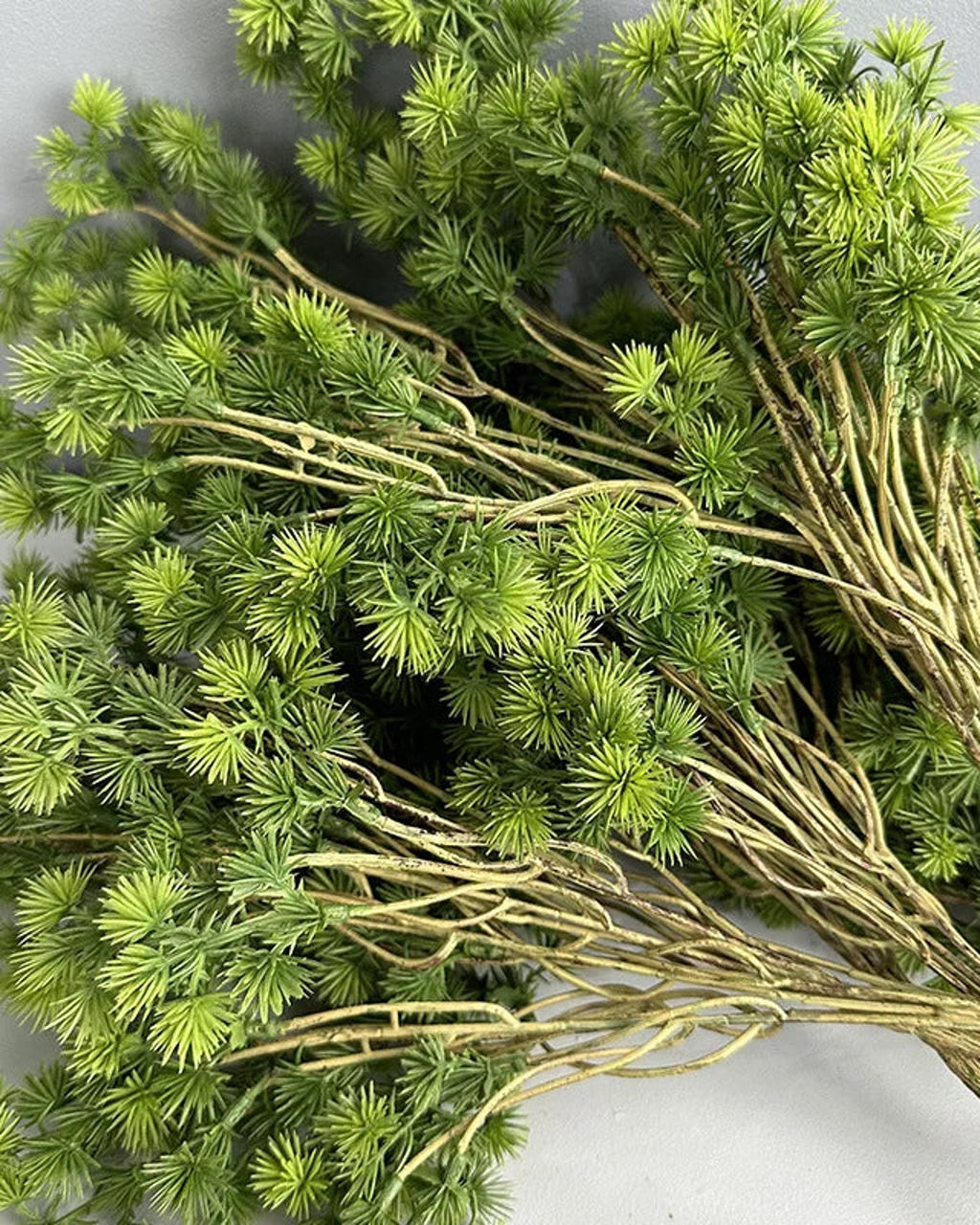 The bare twigs of several artificial pine branches, showing where the needle tufts are set