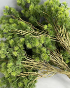 The bare twigs of several artificial pine branches, showing where the needle tufts are set