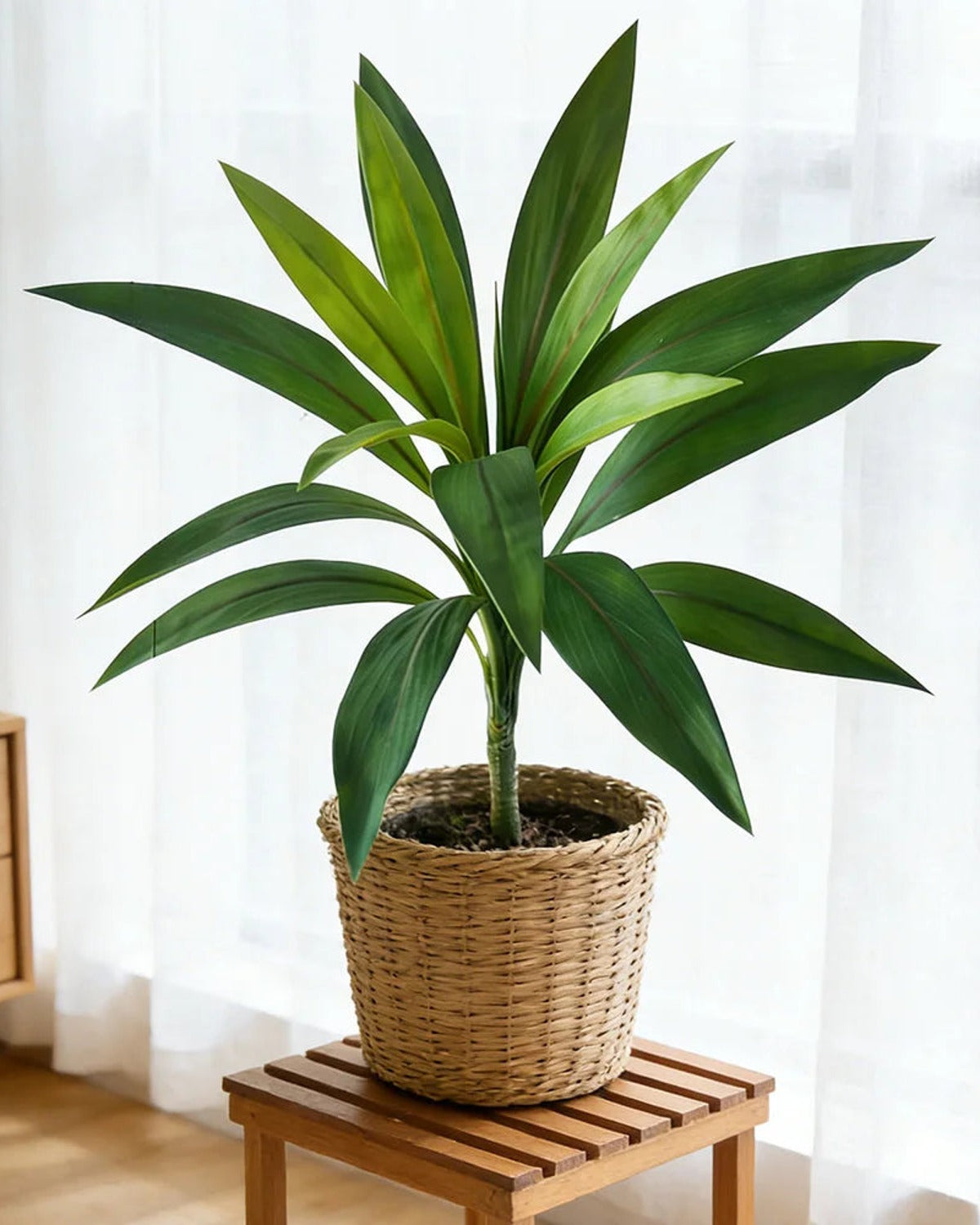The green artificial dracaena in a basket beside a window; pot not included