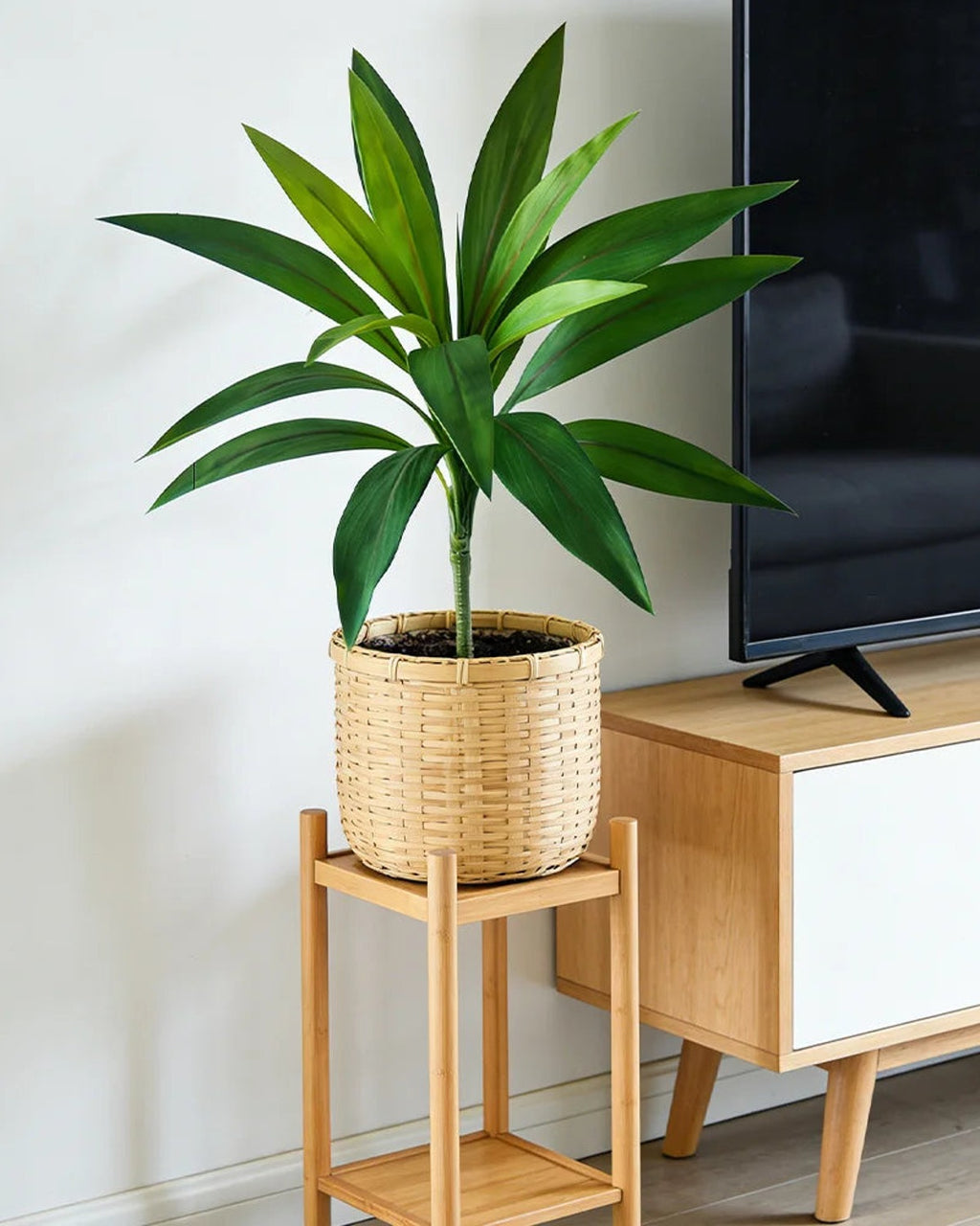 The green artificial dracaena in a basket beside a media cabinet; pot not included