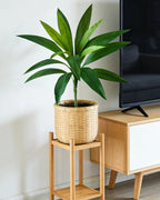 The green artificial dracaena in a basket beside a media cabinet; pot not included