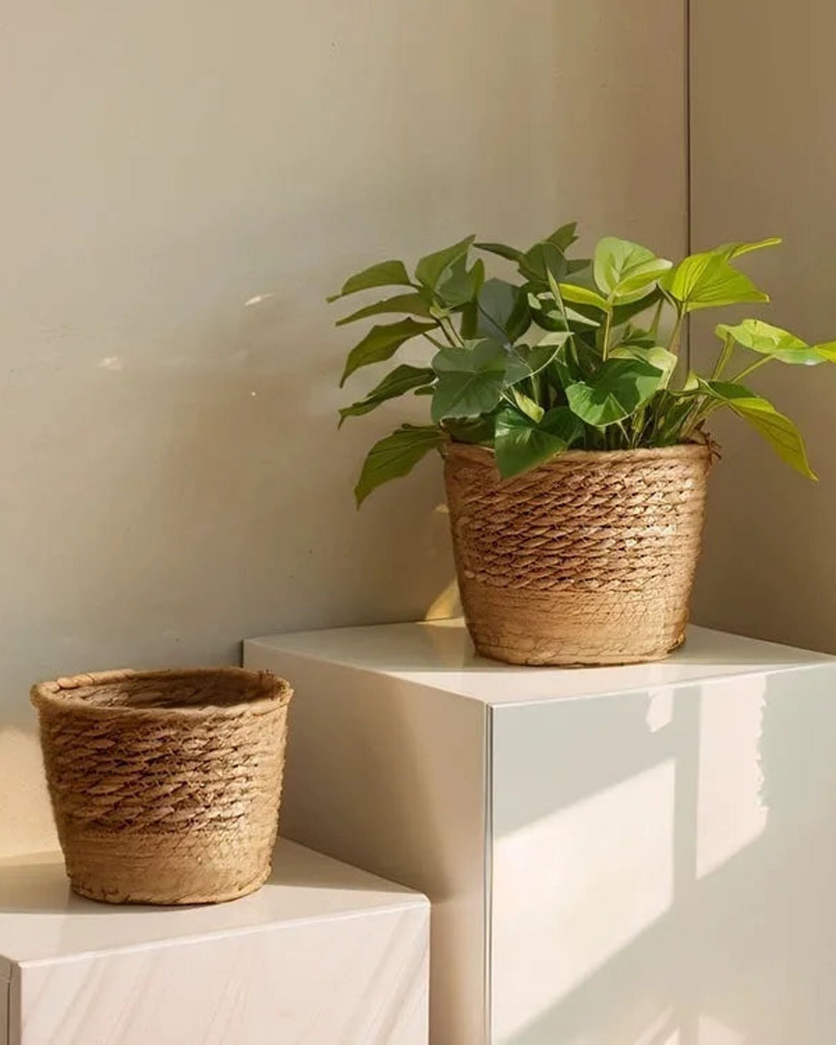 Two woven seagrass plant baskets on white plinths, one holding a plant; plants not included