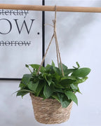 A woven hanging plant basket holding a pothos, hung from a wooden rail; plant not included