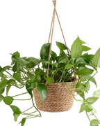 A woven hanging plant basket holding a trailing pothos; plant not included