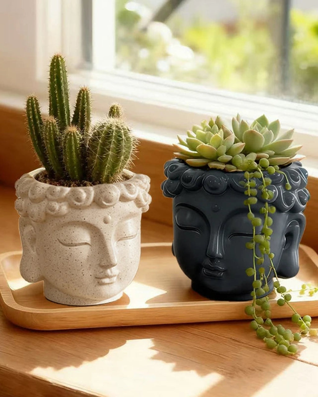 A stone Buddha head planter with a cactus beside a charcoal one on a windowsill; plants not included