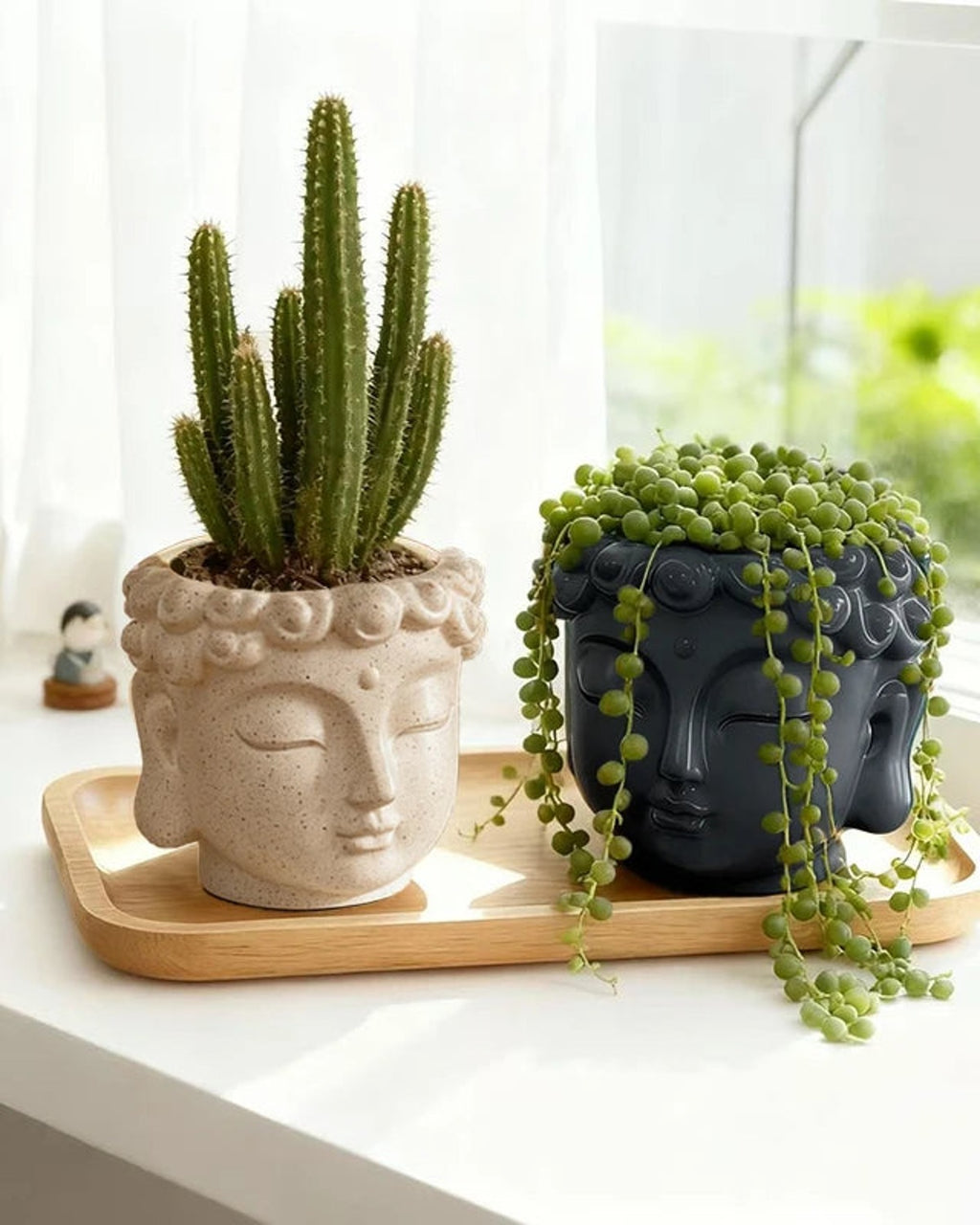 Buddha head planters holding a cactus and a string of pearls on a sill; plants not included