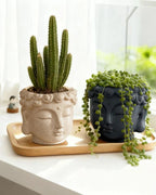 Buddha head planters holding a cactus and a string of pearls on a sill; plants not included