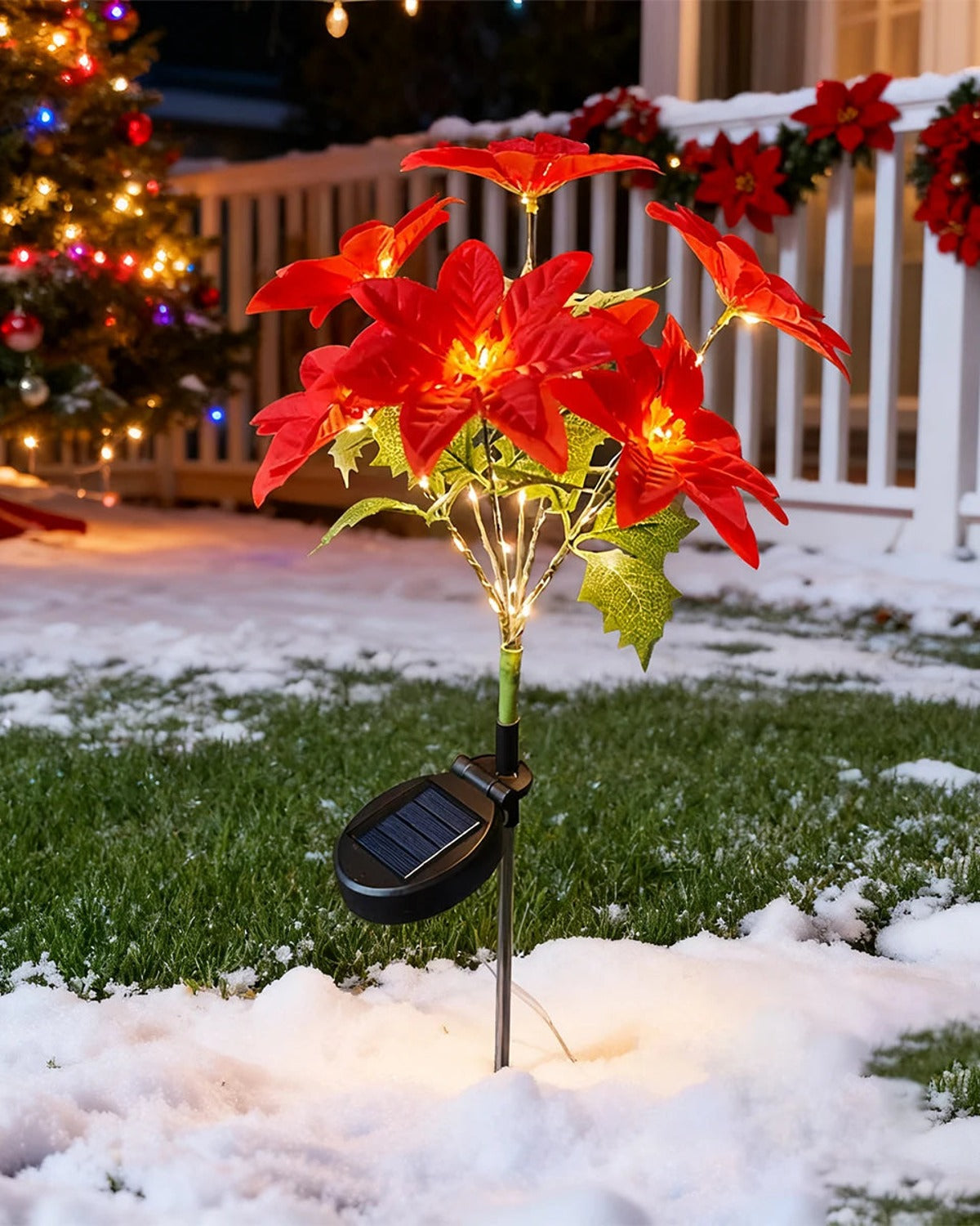 A solar poinsettia stake light glowing in a snowy front yard; sold singly, wreaths and tree not included