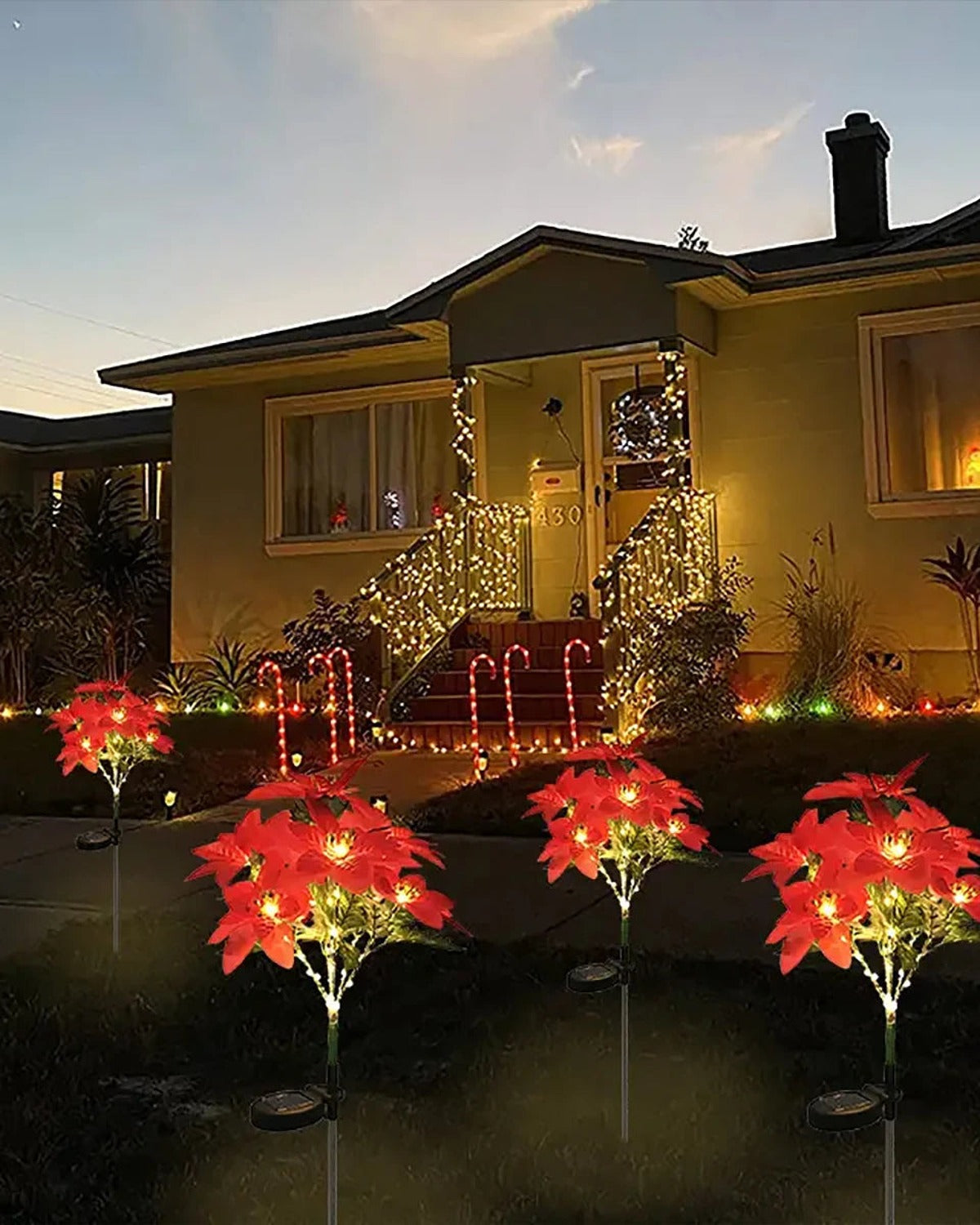 Four solar poinsettia stake lights along a front path at dusk; sold singly