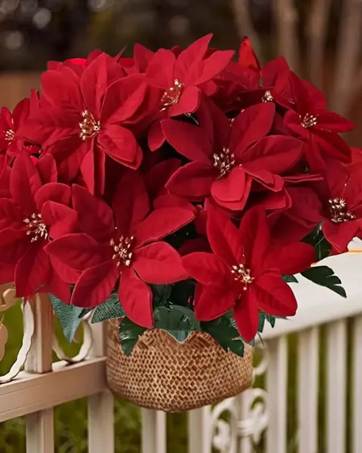 A red poinsettia bouquet in a woven basket hung on a white fence; basket not included