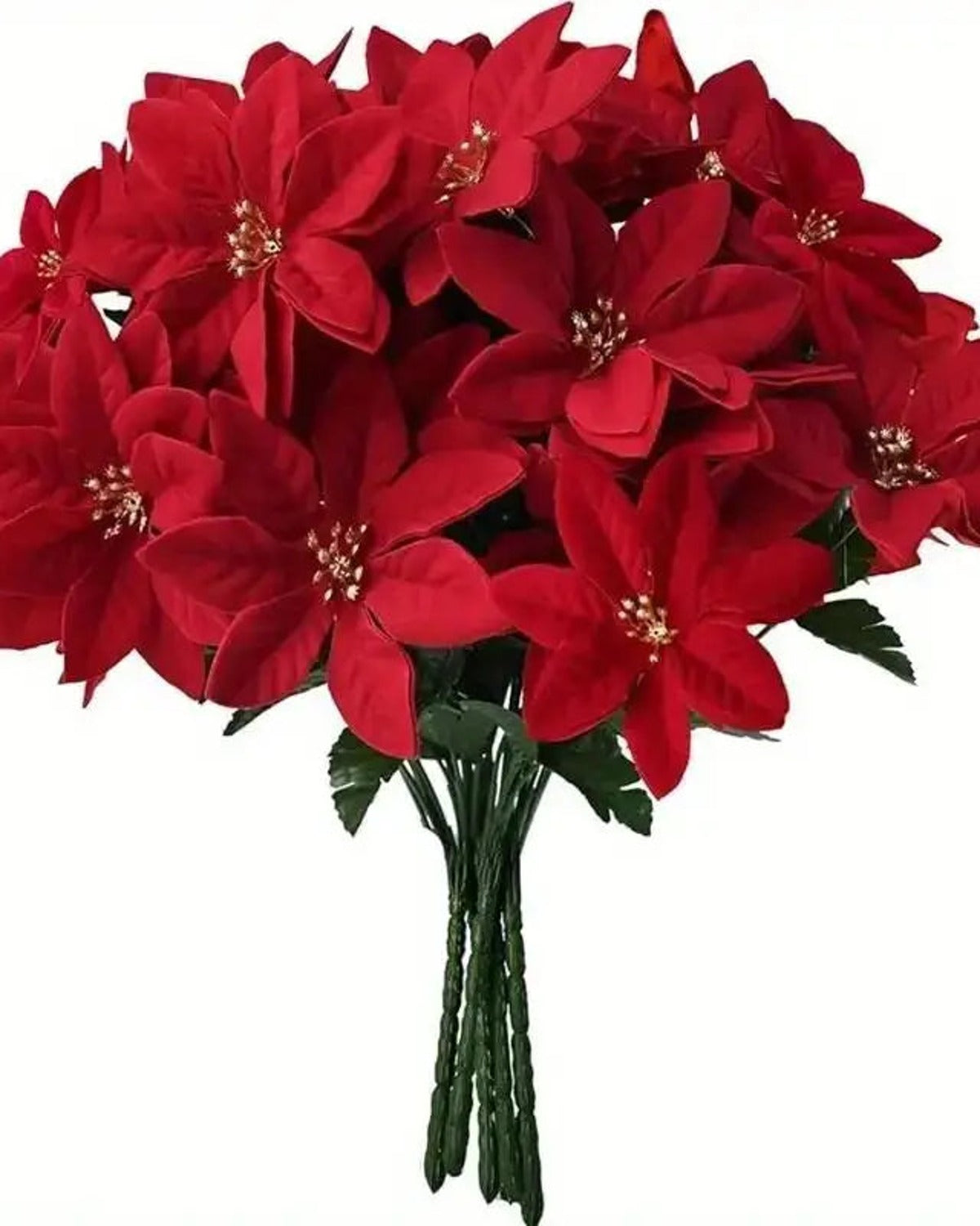 A red poinsettia bouquet on a plain white ground, its stems gathered