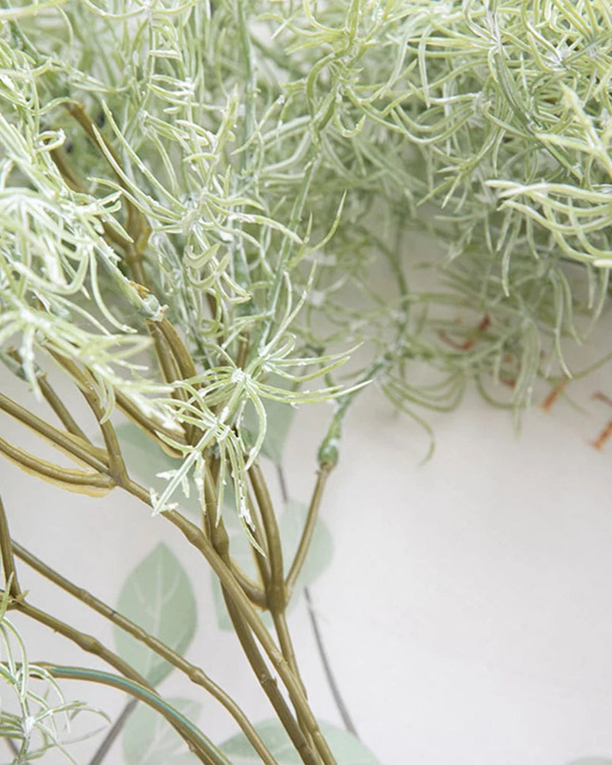 A close look at the pale green, frosted needles of the rosemary sprays