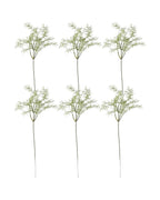 The six rosemary sprays laid out on a plain white ground, as they arrive