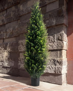 One of the cedar topiary trees in its black nursery pot against an old stone wall outdoors