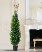 One of the cedar topiary trees in its black nursery pot beside a white carved fireplace