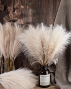 Artificial pampas stems in a dark glass bottle against a wooden wall, with more stems laid beside it