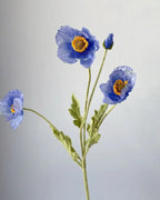 A blue poppy stem, the petals thin enough to show the light through them