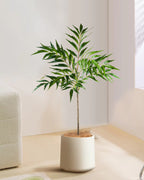The bamboo branch in a white pot beside a pale sofa (pot not included)