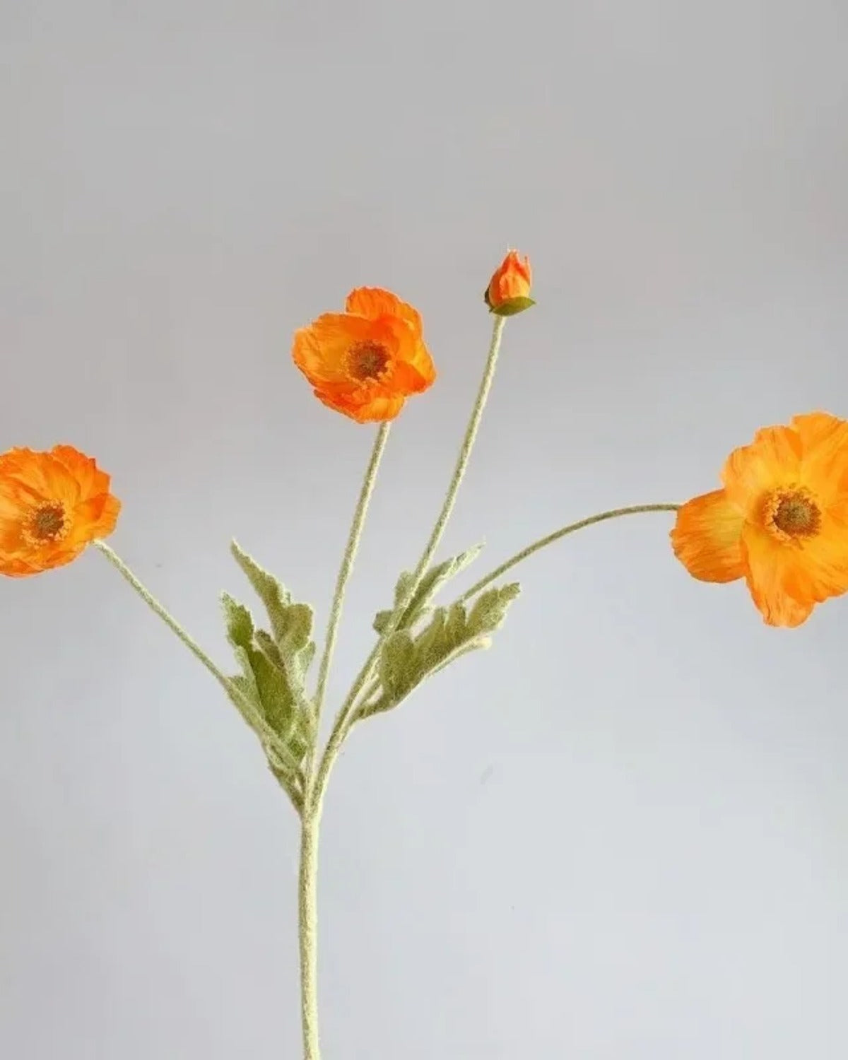 An orange poppy stem, two open flowers and a bud on one bendable wire stem