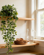 Artificial trailing vine on a kitchen shelf beside a glass jug and a stack of wooden plates