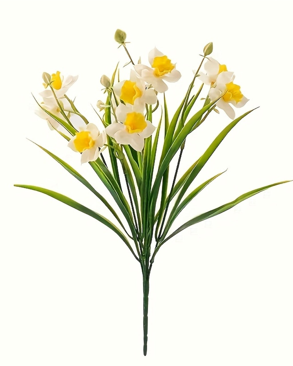 One bunch of the white and yellow daffodils against a plain white background
