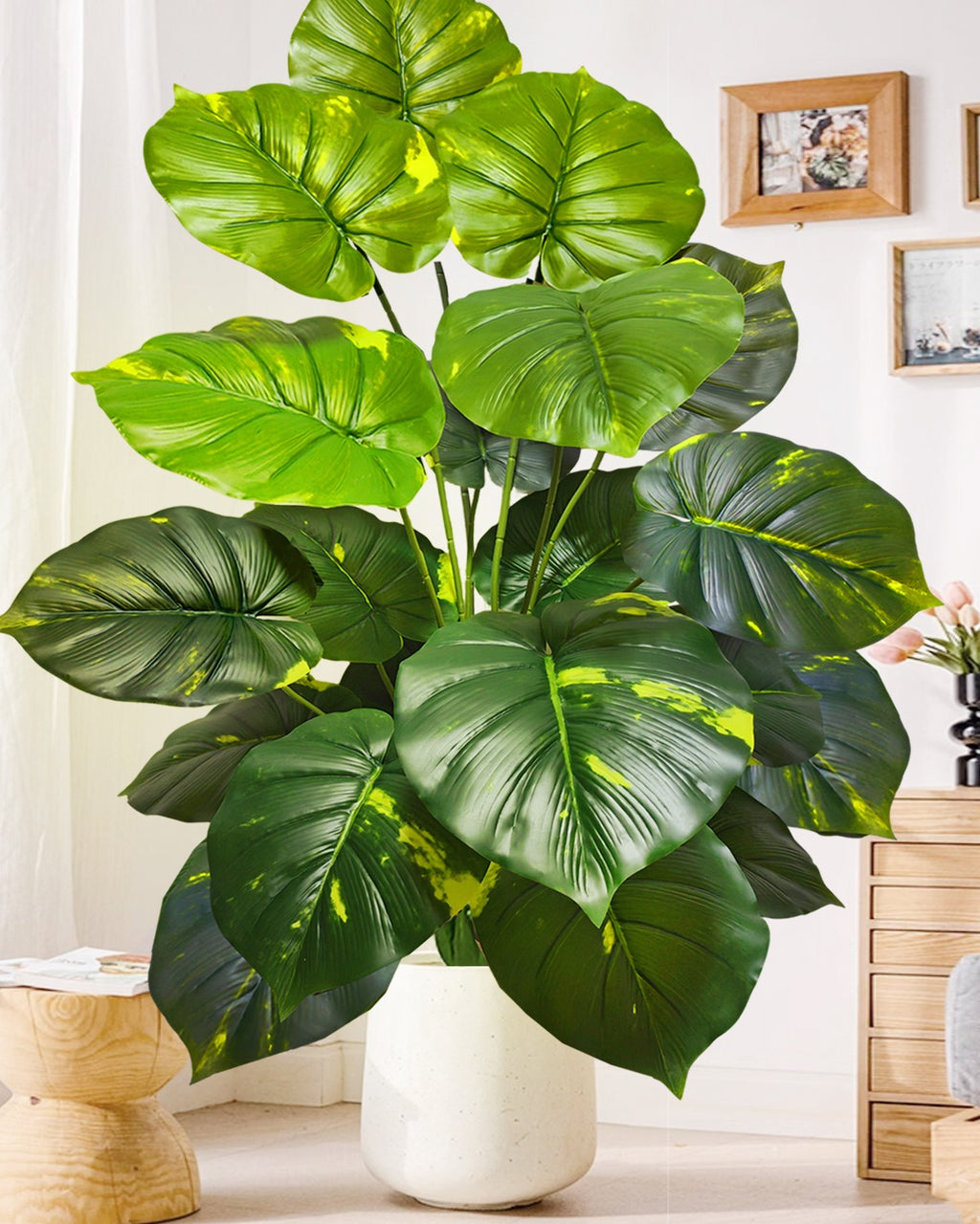 The monstera bush in a white pot in a bright room hung with framed prints (pot not included)