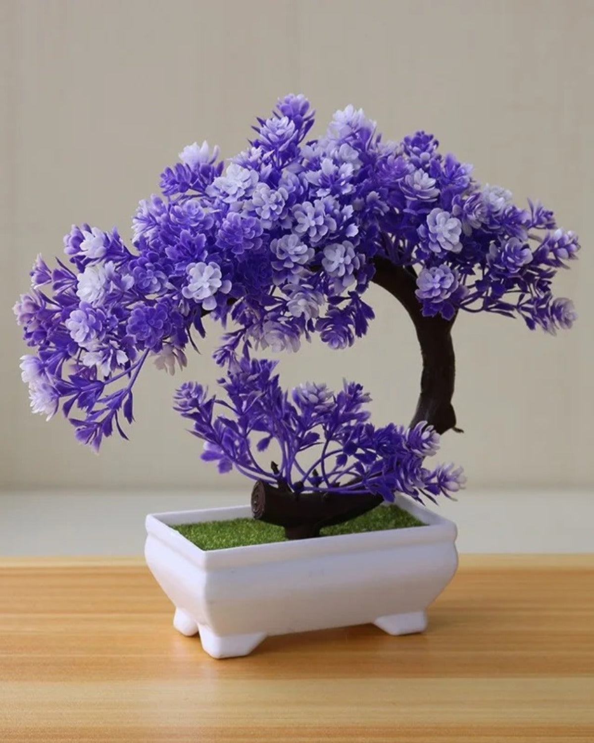 Purple blossom bonsai in a white ceramic tray, the canopy curving down over one side