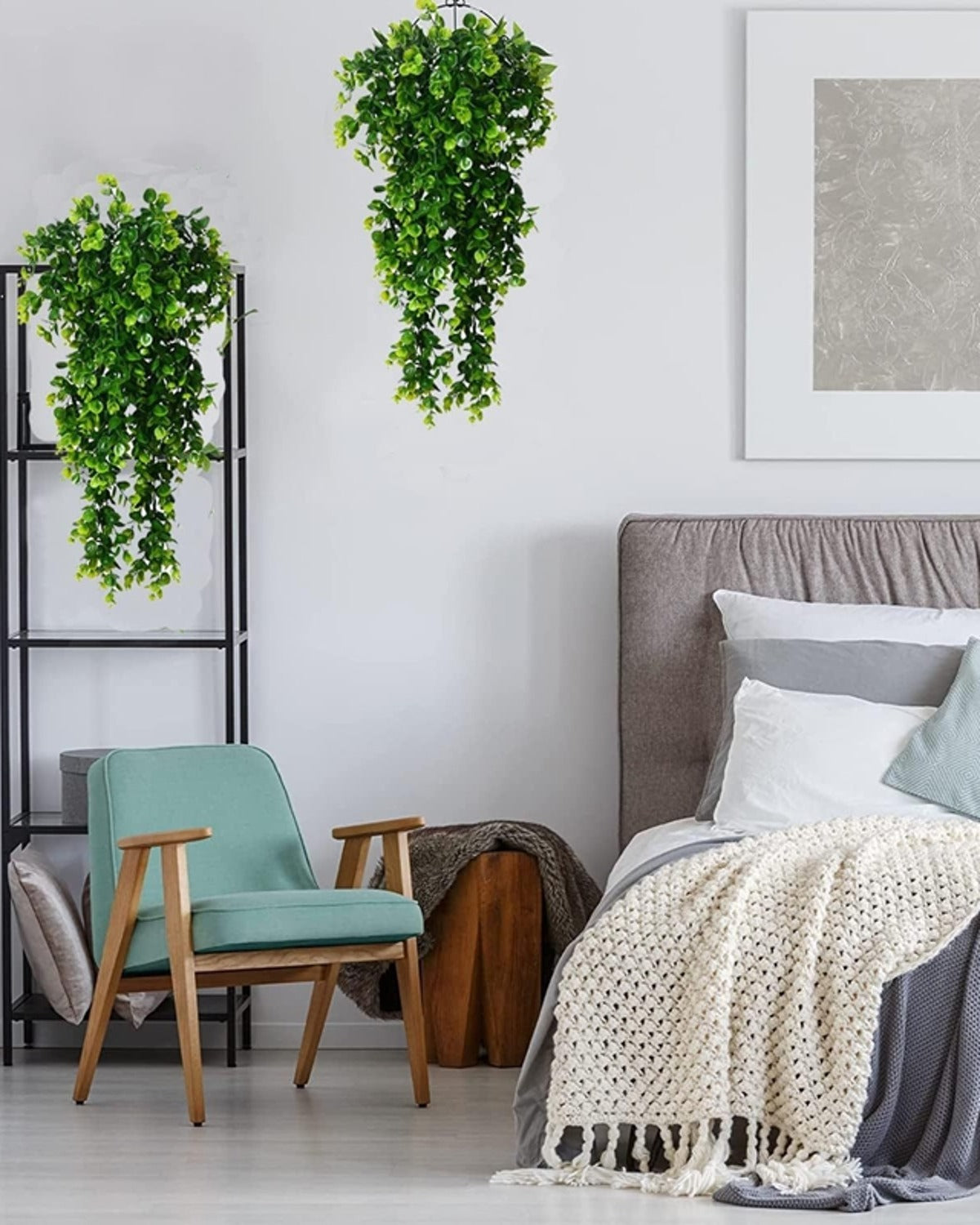 Two of the vines hanging in a bedroom, one from a shelf and one on the wall; one vine per order
