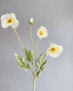 A white poppy stem with yellow centers