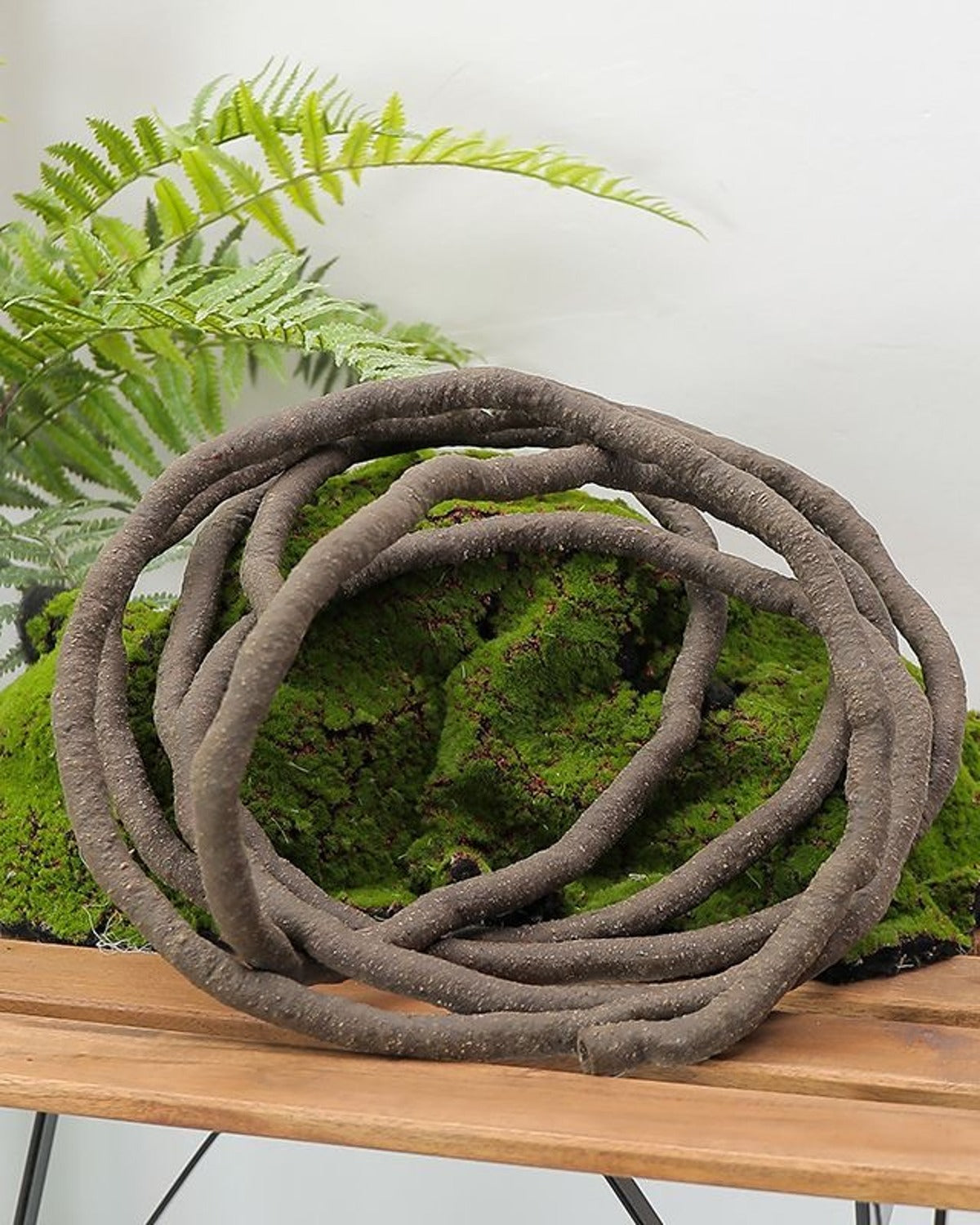 The coiled brown artificial rattan vine resting on a wooden table above a bed of moss