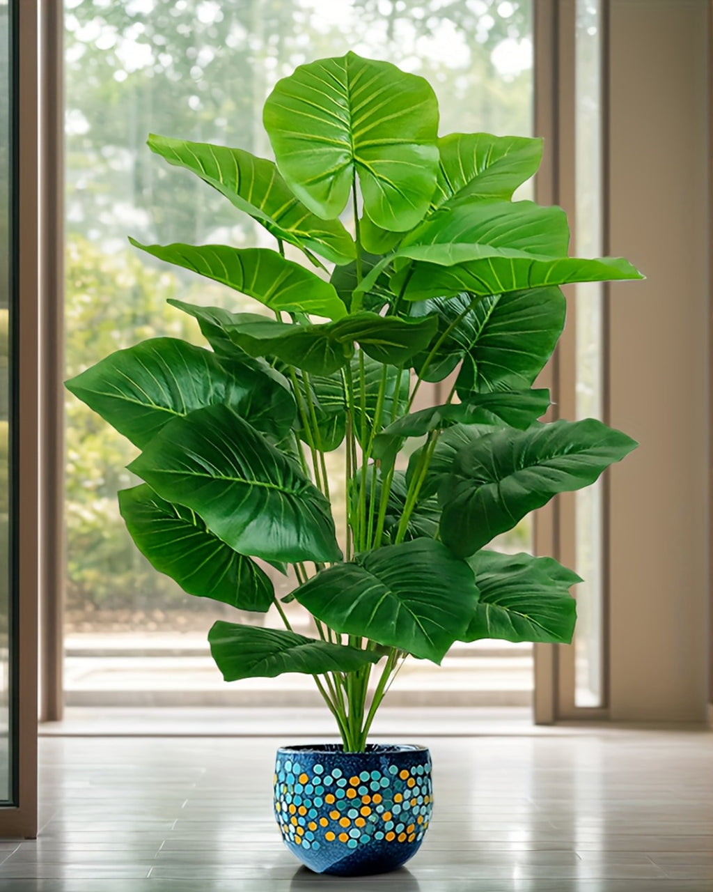 The elephant ear plant beside tall windows, standing in a blue patterned pot (pot not included)