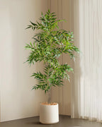 The bamboo branch in a white pot in a corner beside a curtain (pot not included)
