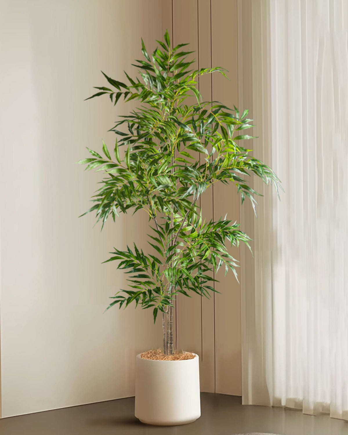 The bamboo branch in a white pot in a corner beside a curtain (pot not included)