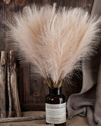 The pampas stems arranged in a dark glass bottle, the plumes opening into a wide fan