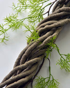 The brown vine laid diagonally, showing the twisted bark texture running its full length