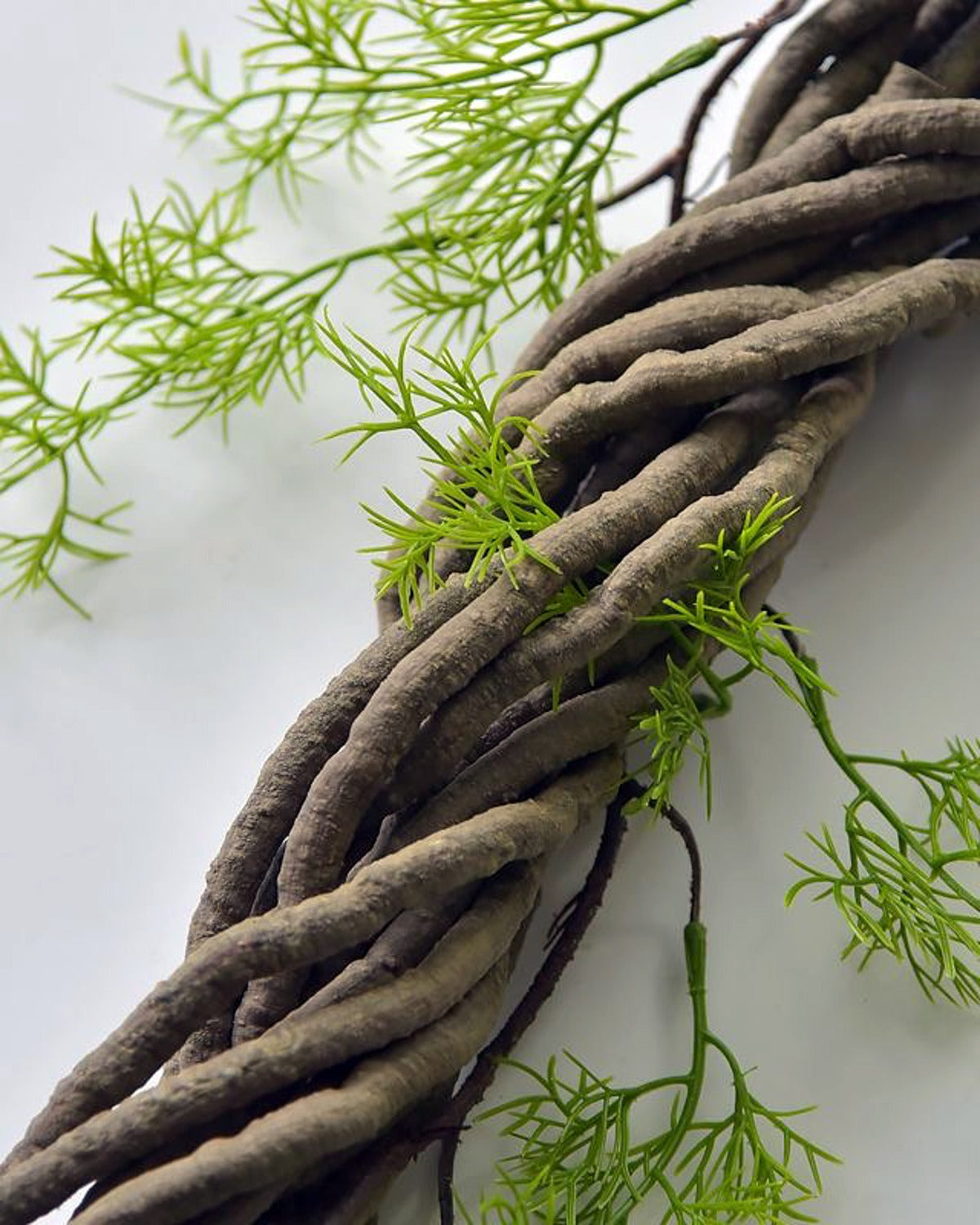 The brown vine laid diagonally, showing the twisted bark texture running its full length