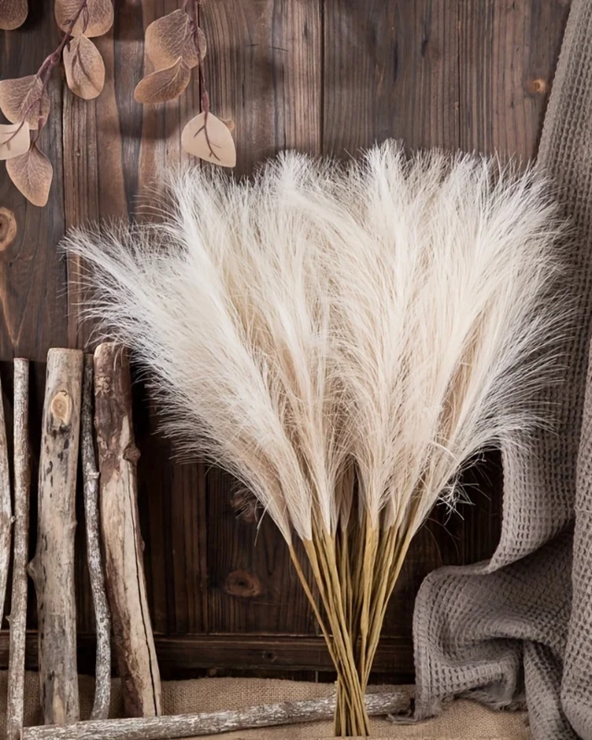 The pampas stems fanned against a wooden wall beside a length of driftwood
