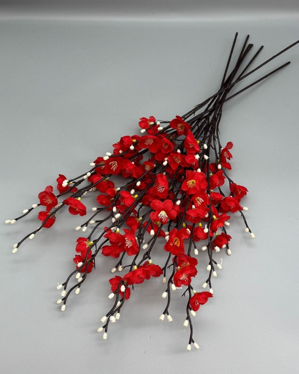 Red plum blossom stems laid flat, showing the full length of the branches