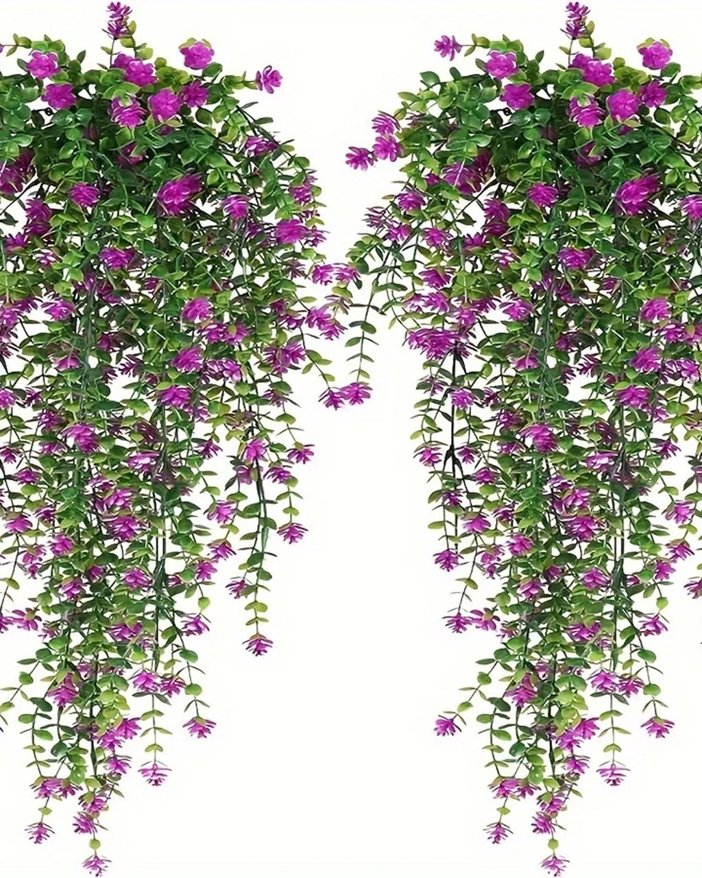 Two purple flowering vines from the pack, shown against a plain white background
