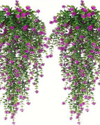 Two purple flowering vines from the pack, shown against a plain white background